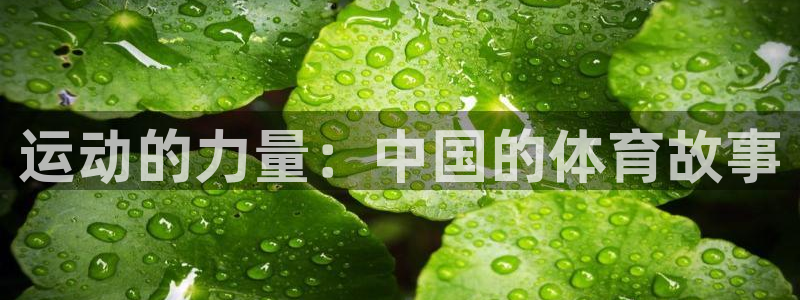 黑白体育高清直播：运动的力量：中国的体育故事